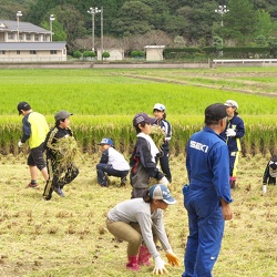 H28年度（2016）