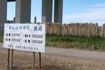 P9560644