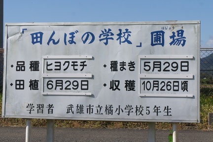 P9660132