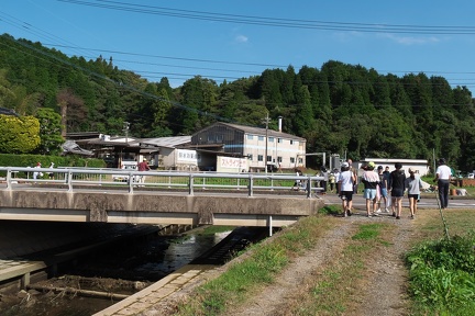 P1456861