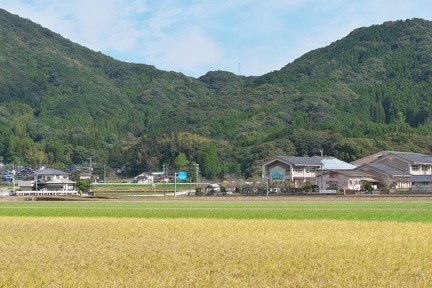 P1467440