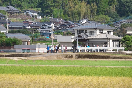 P1467441