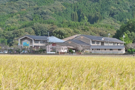 P1467452