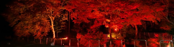 cropped-IMG 0289