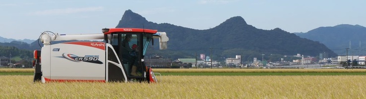 cropped-P9550926-1
